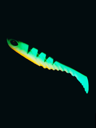 raubfischking_produkte-36-1