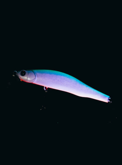 raubfischking_produkte-34